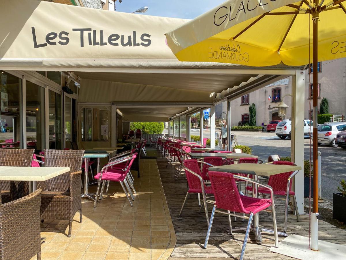 Hotel Les Tilleuls De Pareloup A Salles-Curan Exterior foto